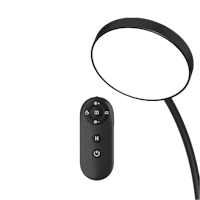 a lamp with a remote control next to it